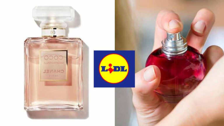 Lidl  ces parfums à moins de 6 euros imitent à merveille de célèbres fragrances de luxe !